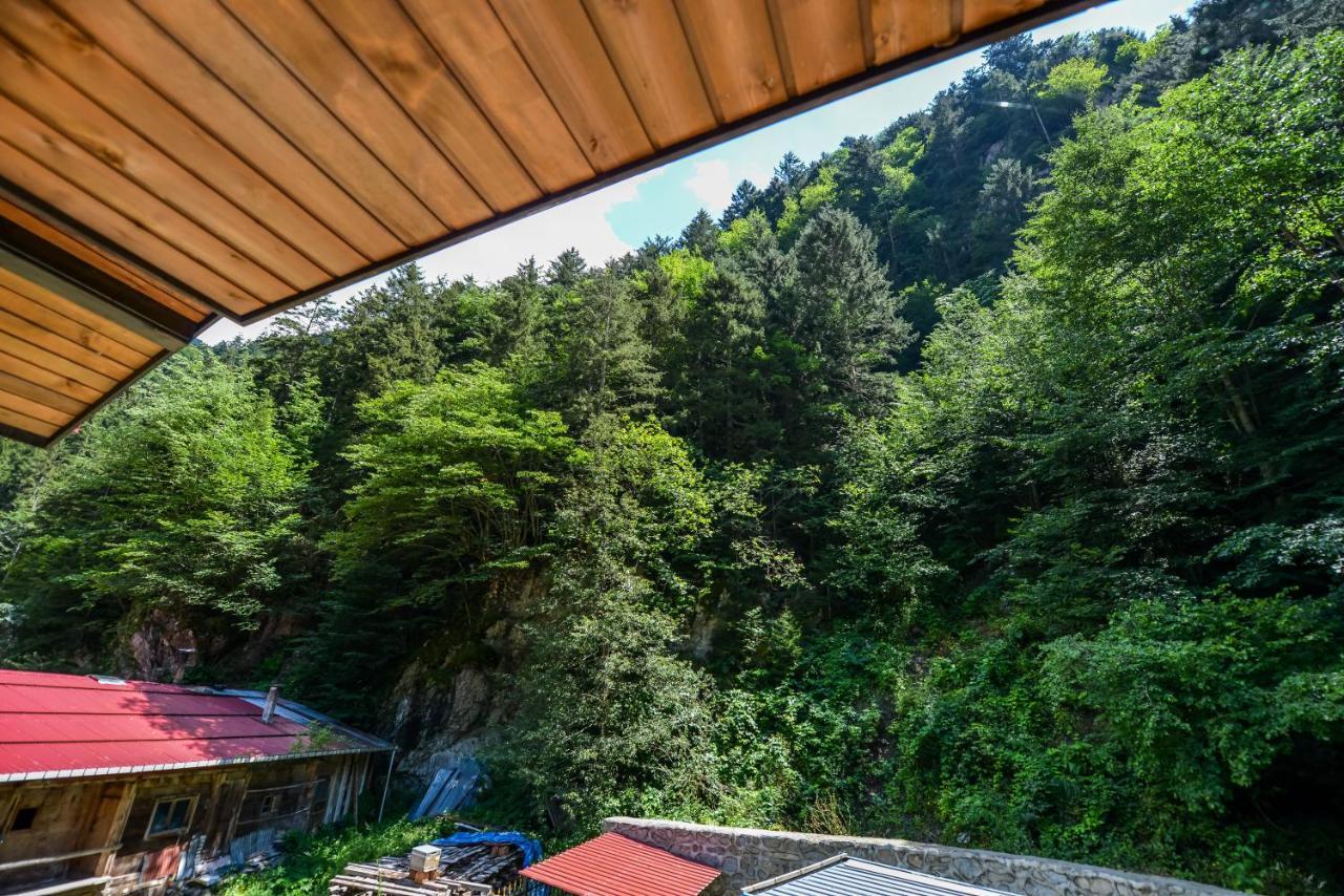 Kibar Suite Hotel Uzungöl Zewnętrze zdjęcie